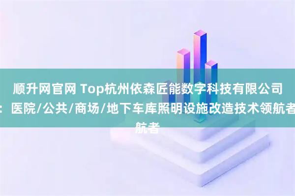顺升网官网 Top杭州依森匠能数字科技有限公司:医院/公共/商场/地下车库照明设施改造技术领航者