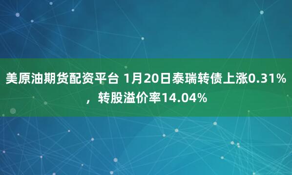 美原油期货配资平台 1月20日泰瑞转债上涨0.31%，转股溢价率14.04%